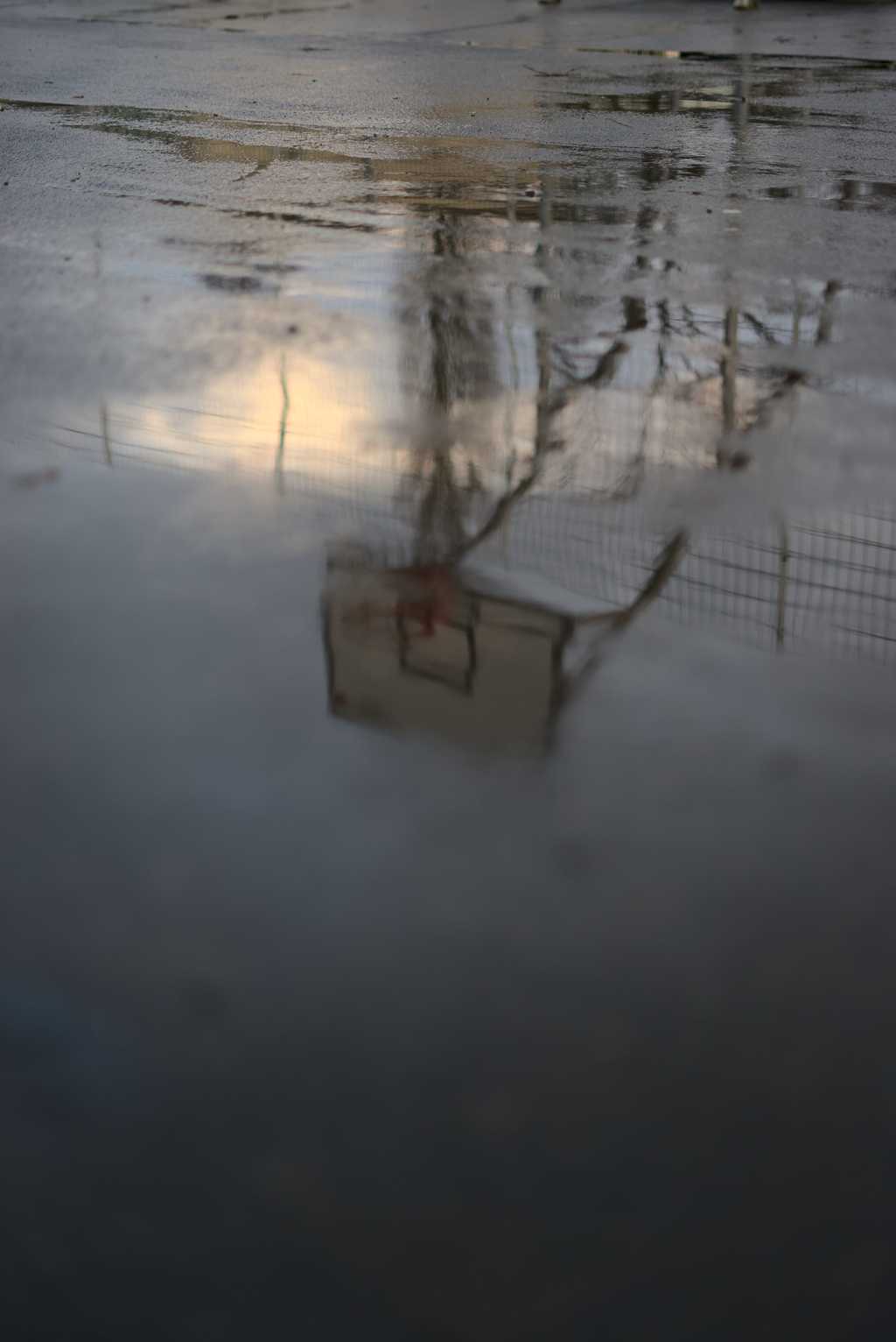 Spiegelbild Basketballkorb